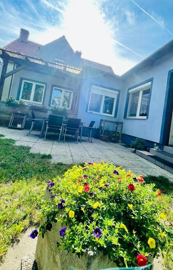 Ferienwohnung Rosenauer Purbach am Neusiedlersee Buitenkant foto